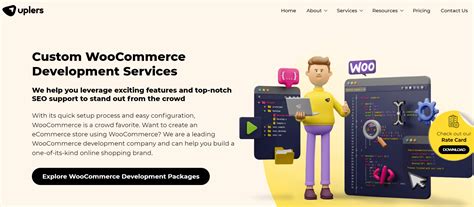 best woocommerce agency|Top WooCommerce Developers .